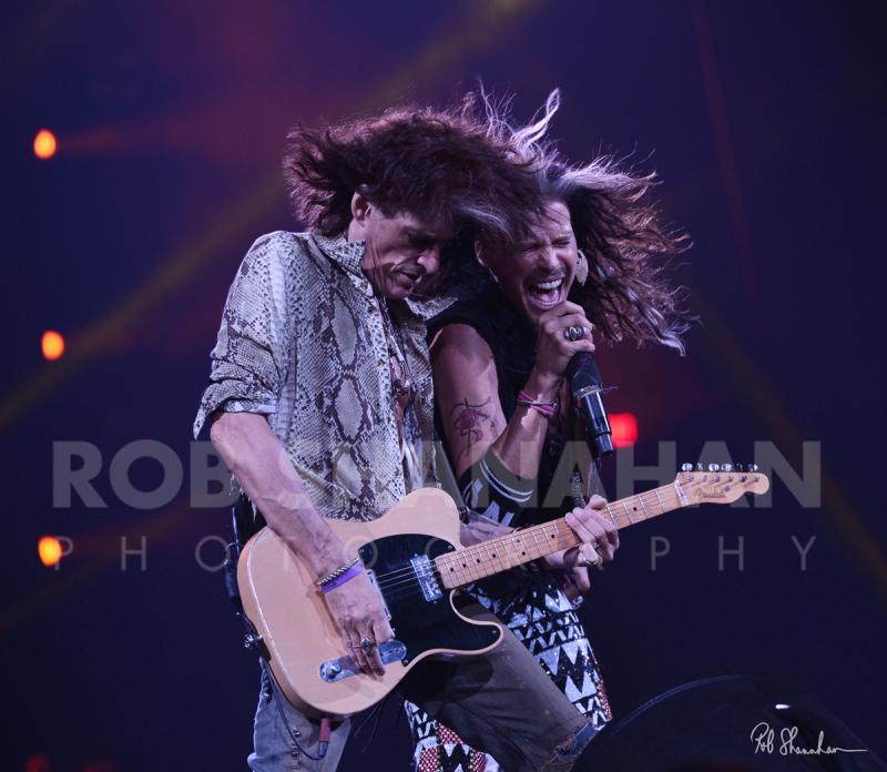 Rob Shanahan Steven Tyler Joe Perry "Rock Gods" Limited Edition Metal Print